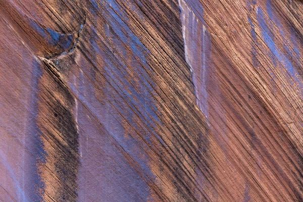 Utah, Glen Canyon Stained patterns on rock wall